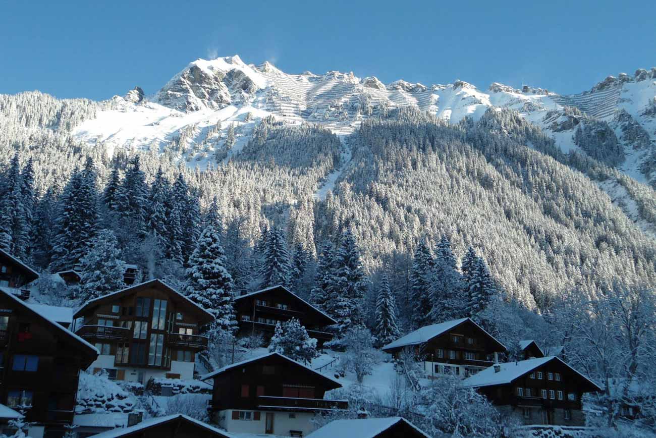 Hotel in Wengen Hotel Belvédère Wengen